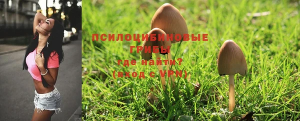 таблы Бронницы