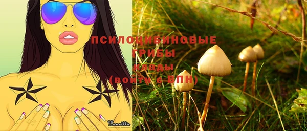 марки nbome Бородино