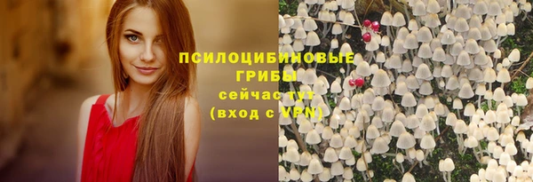гидра Бугульма